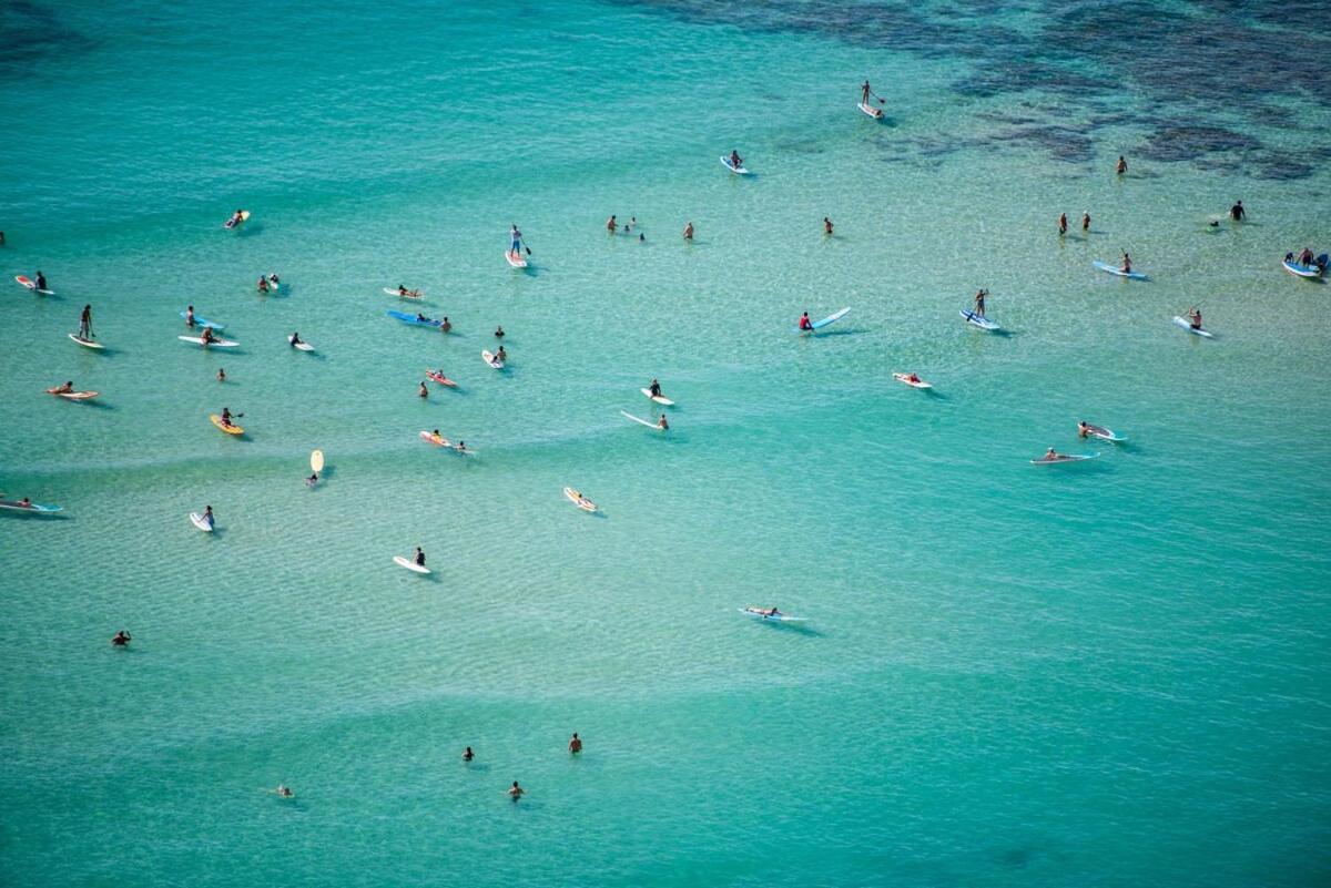 Modern Surf Chic In Waikiki * Honolulu