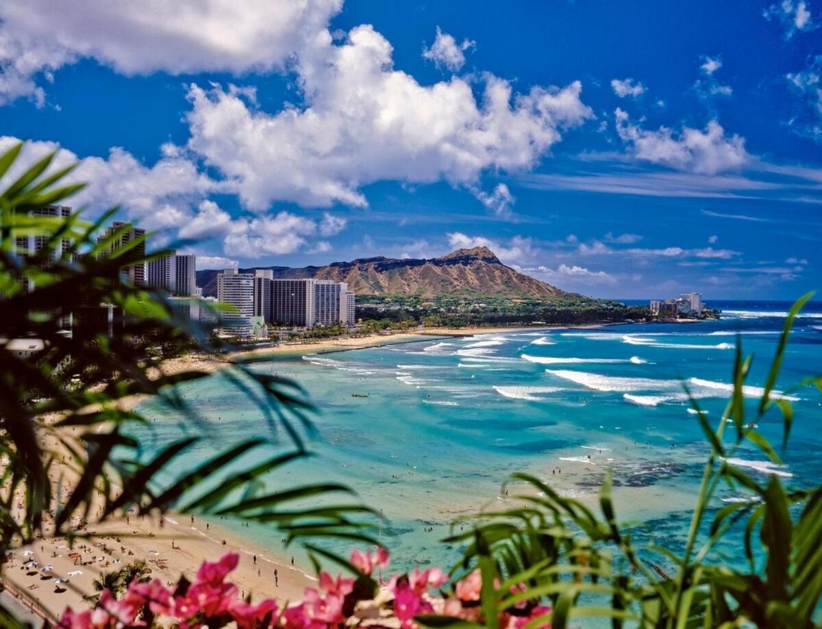 Apartment Modern Surf Chic In Waikiki Honolulu